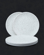 Fleck-Round- 24 piece Dinner Set
