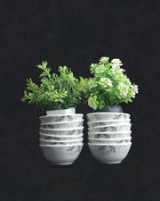 Fiorra-Round- 24 Piece Dinner Set