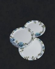 Blush - Round - 24 piece Dinner Set