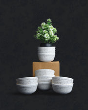 Fleck-Round- 24 piece Dinner Set