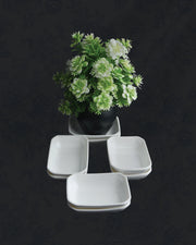Bathtub Chutney Plates-6 pcs
