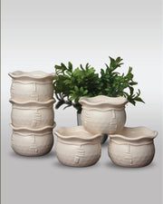 Rabadi Bowl - 6 pcs