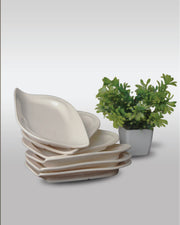 Curve Chat Plate - 6 pcs
