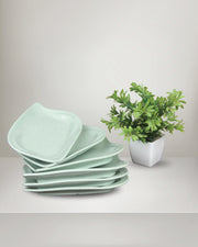 Curve Chat Plate - 6 pcs